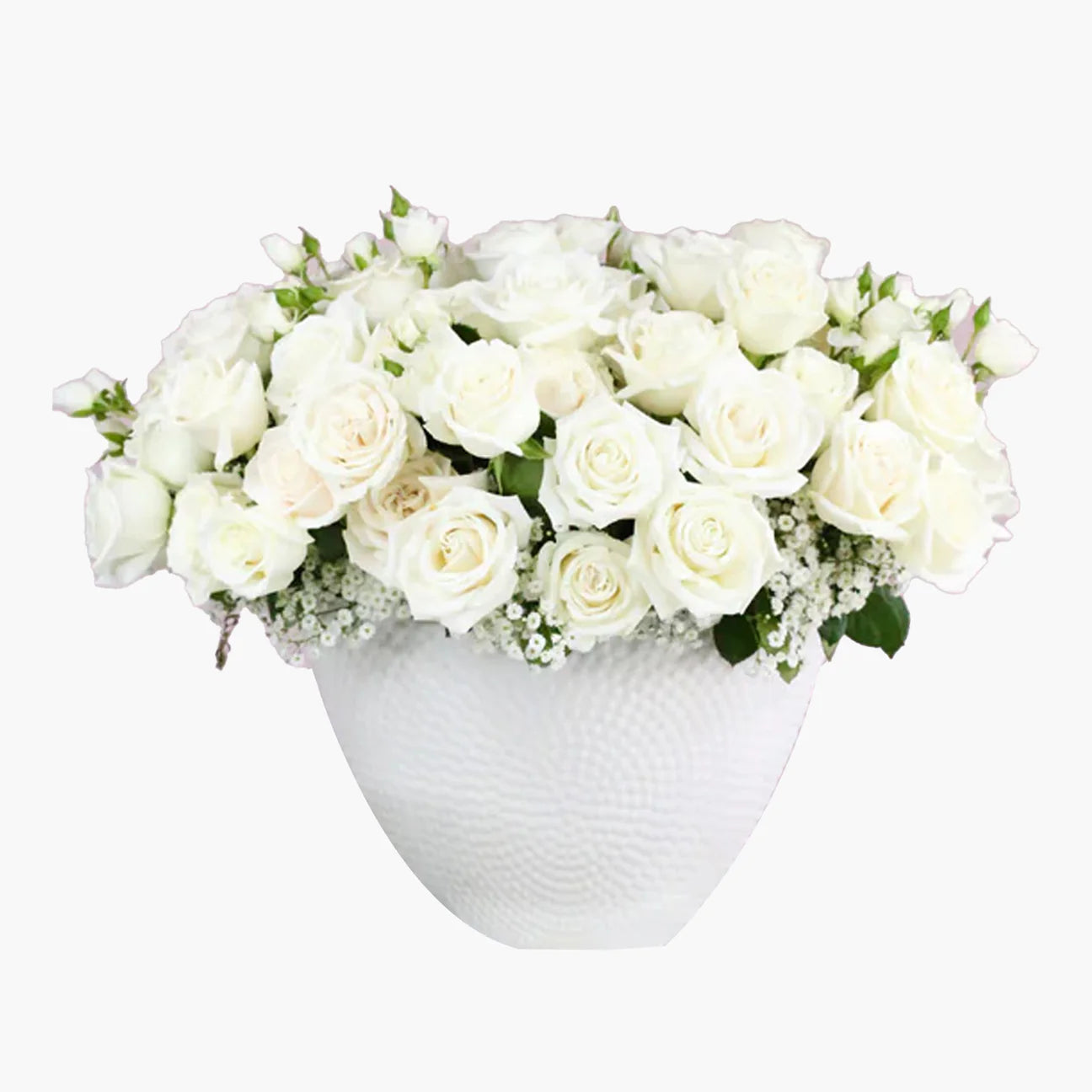 Monroe White Roses