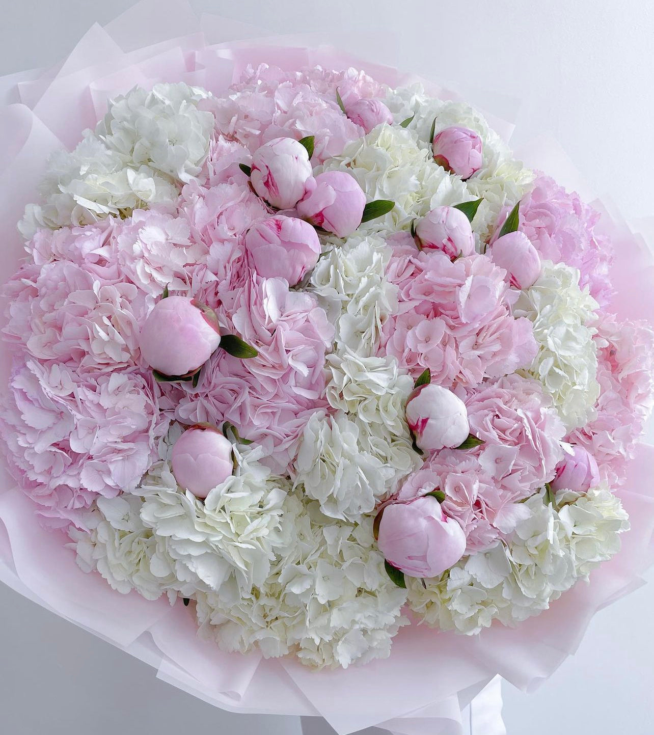 Hydrangeas &Peonies