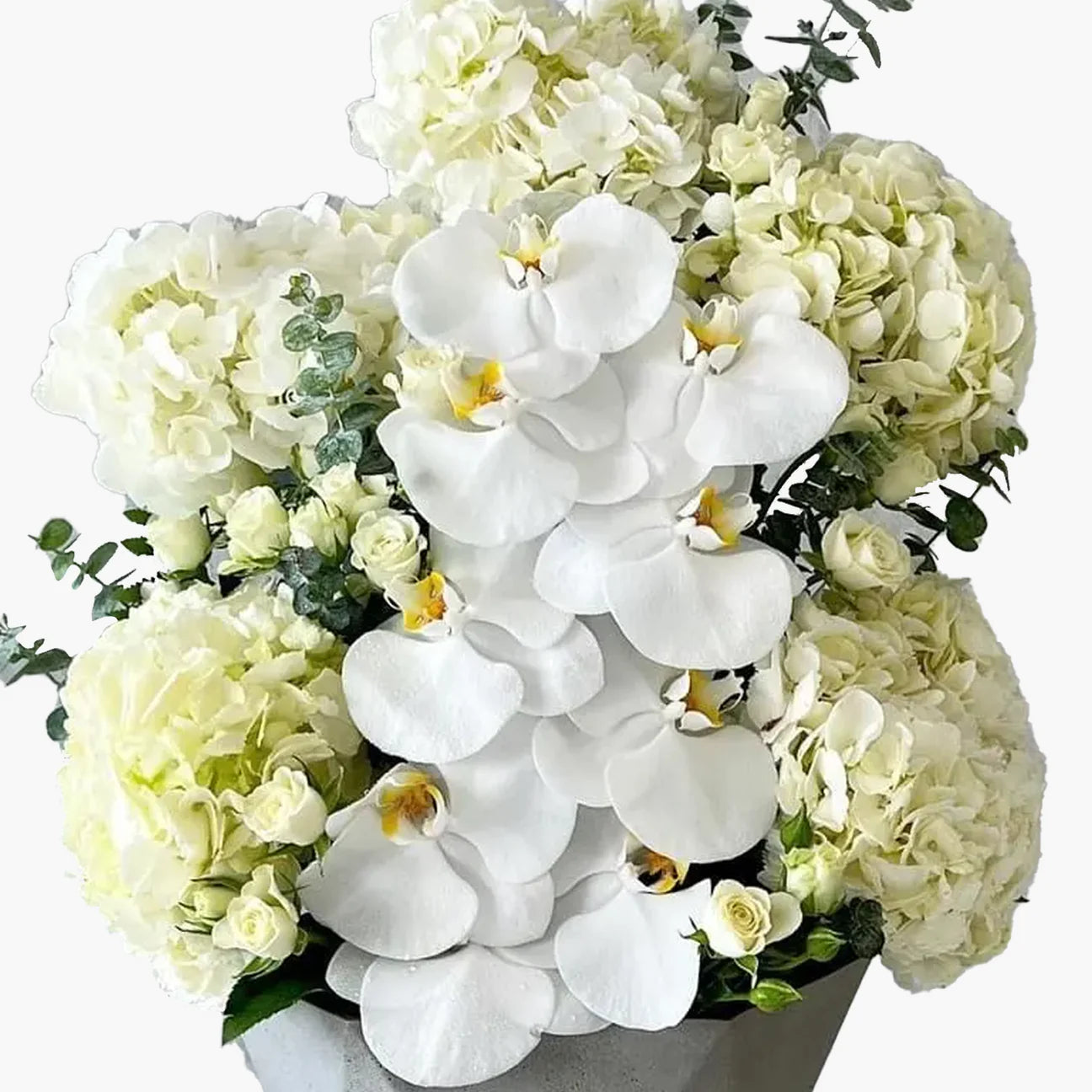 Orchid Hydrangeas Modern Design