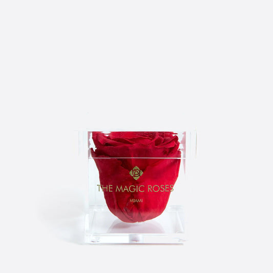 Acrylic Single Box | Red Rose